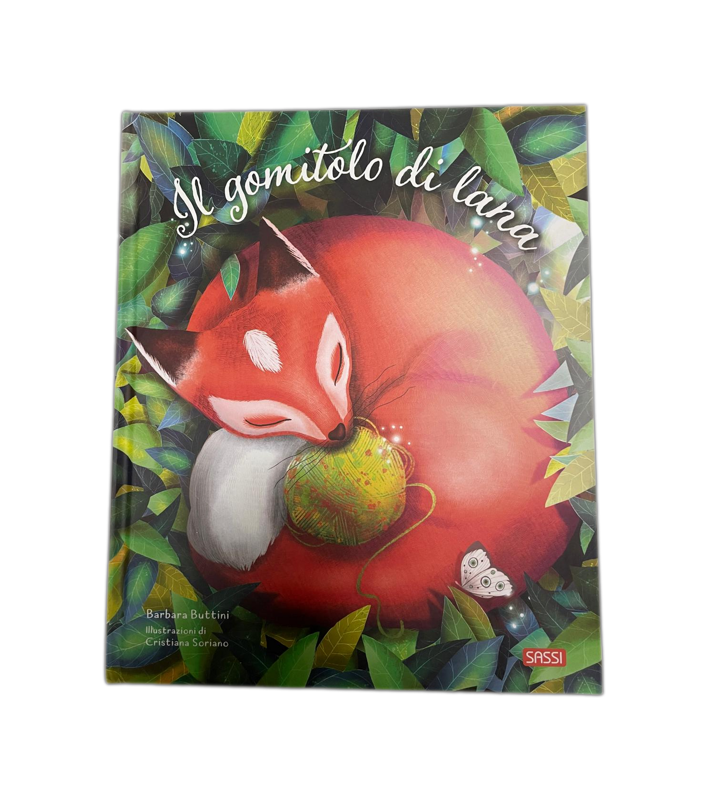 Libro Sassi - Il Gomitolo di Lana, di Barbara Buttini