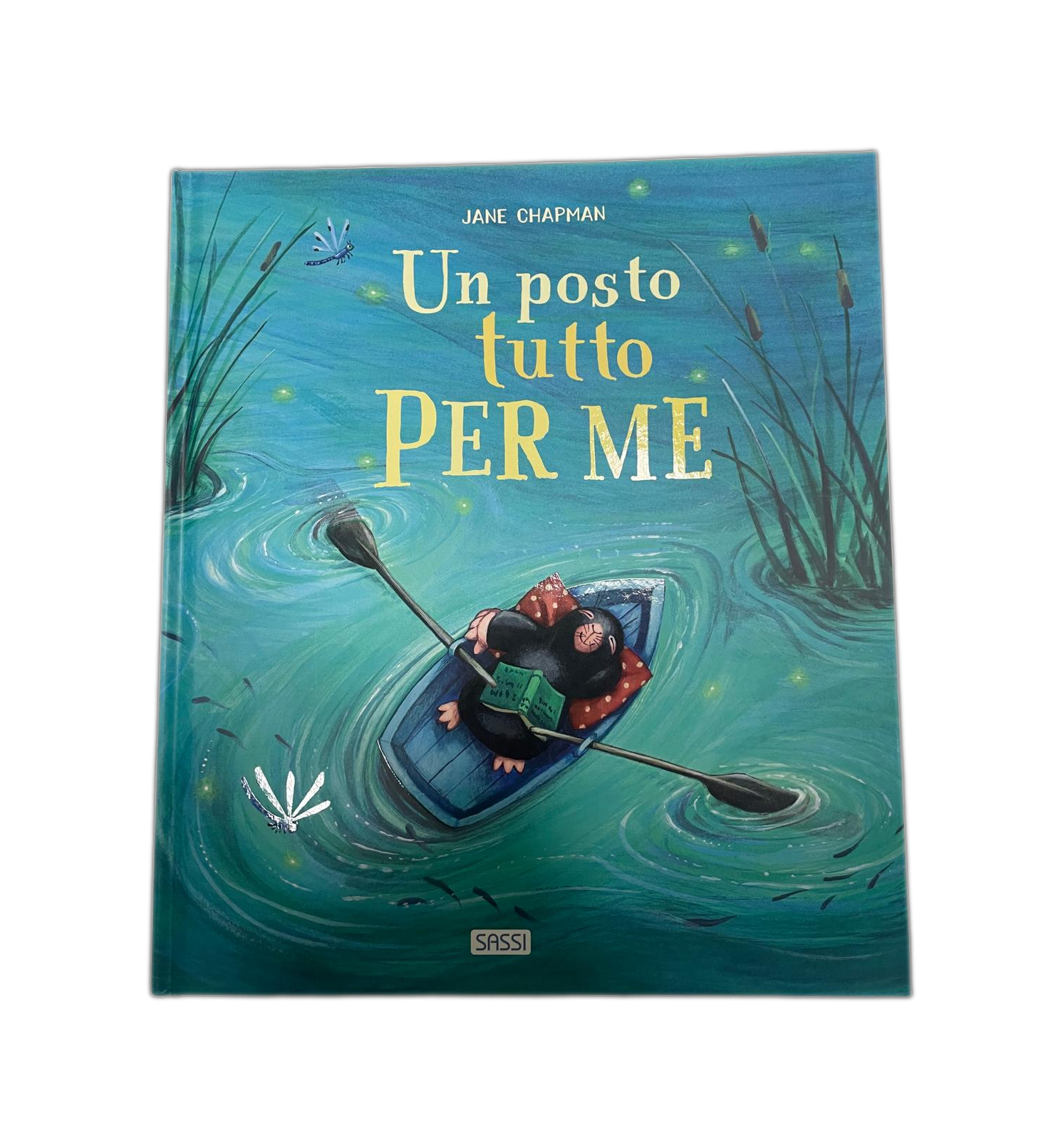 Libro Sassi - Un Posto Tutto per Me, di Jane Chapman